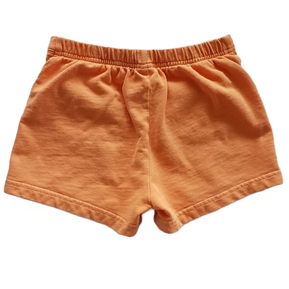 Gymboree Shorts EUC 4T - Picture 2 of 2
